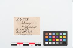 Etiketten zu Bronzearmring (NHMW-PRAE-024778)